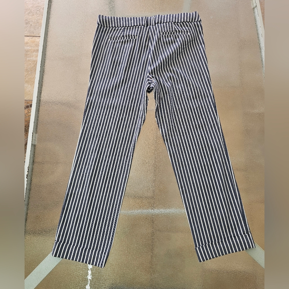 Rafaella Striped Cropped Pants | Nautical Preppy Chic | Stretch Comfort Size 14 - Picture 3 of 9